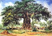 Thomas, Baobab Tree